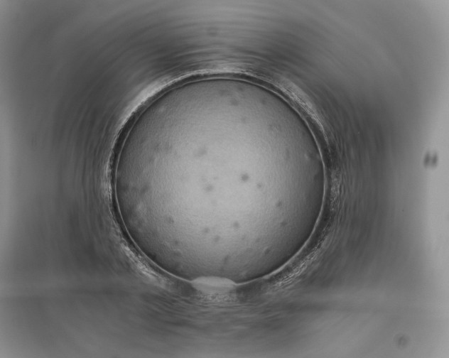 X0000097600789200803141916
