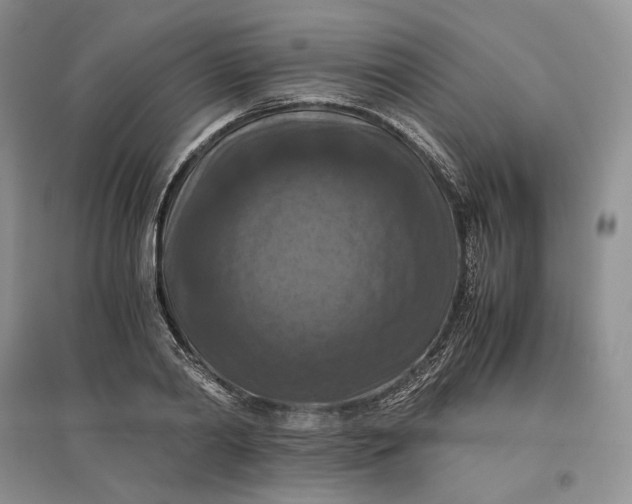 X0000097600790200803141915
