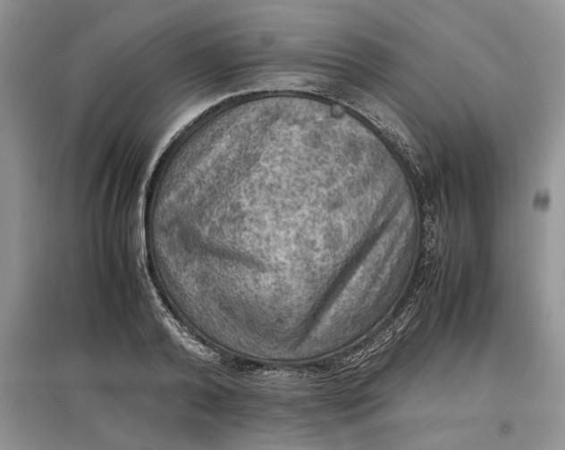 X0000097600792200803141915