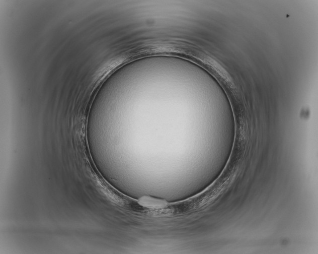 X0000097600793200803141915