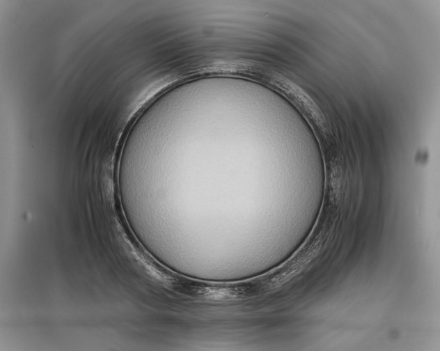 X0000097600794200803141915