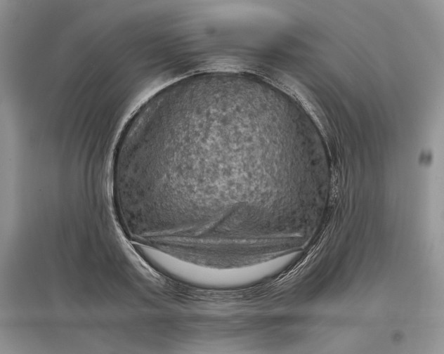 X0000097600795200803141915