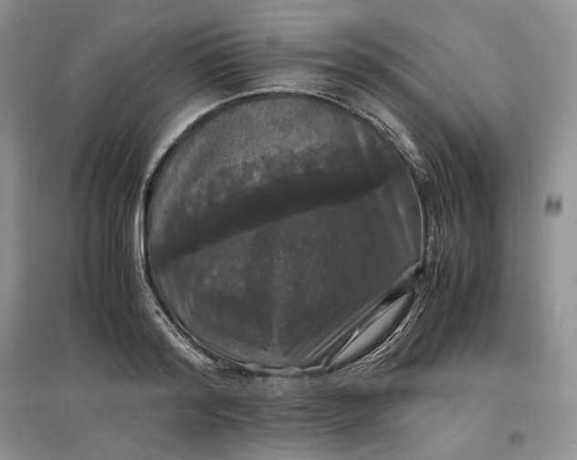 X0000097600796200803141915