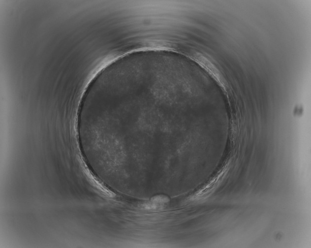 X0000097600797200803141915