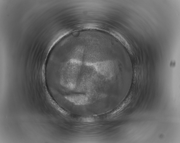 X0000097600798200803141915