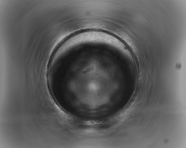 X0000097600799200803141915