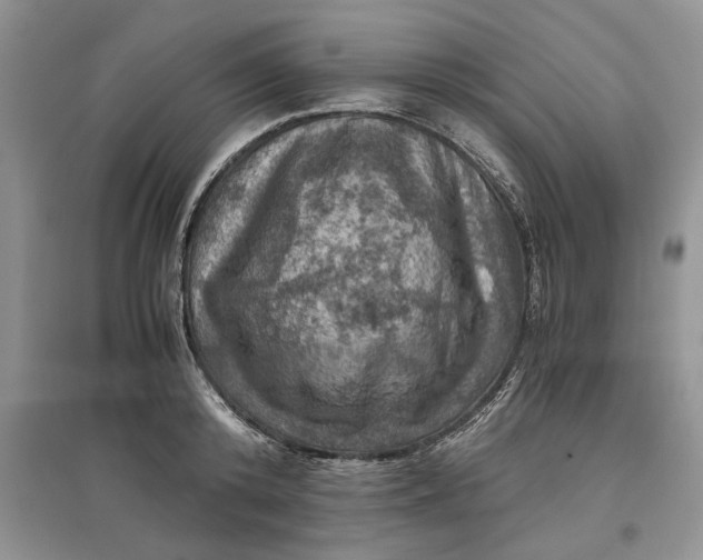 X0000097600800200803141915