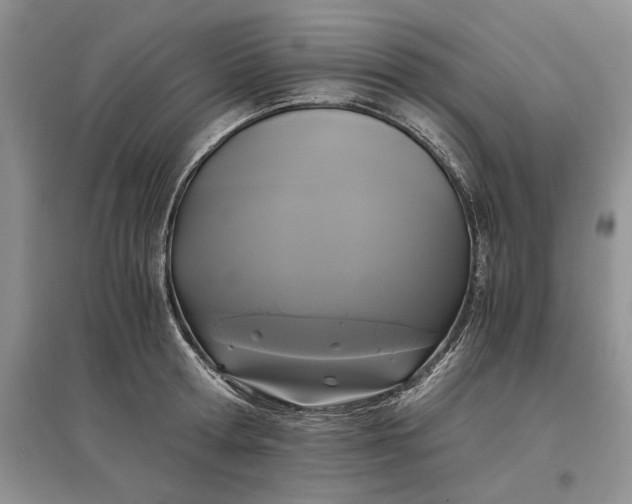 X0000097600802200803141915