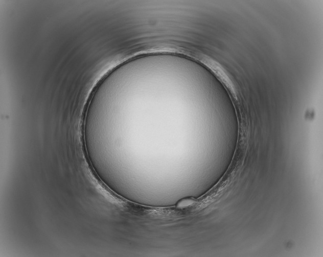 X0000097600805200803141915
