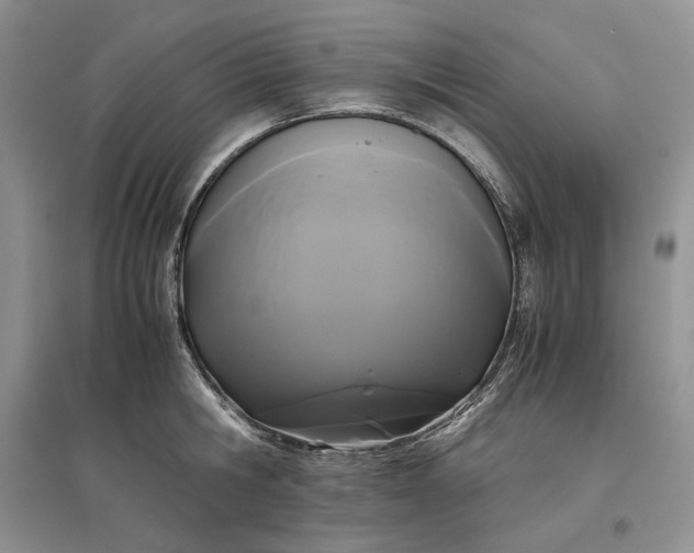X0000097600806200803141915