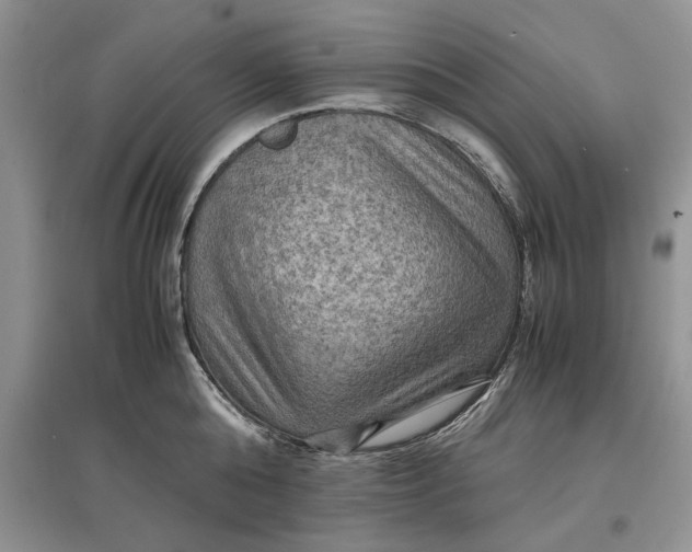 X0000097600808200803141915