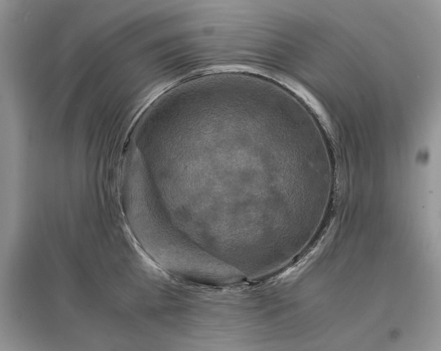 X0000097600809200803141915
