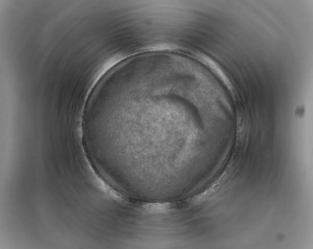 X0000097600810200803141915