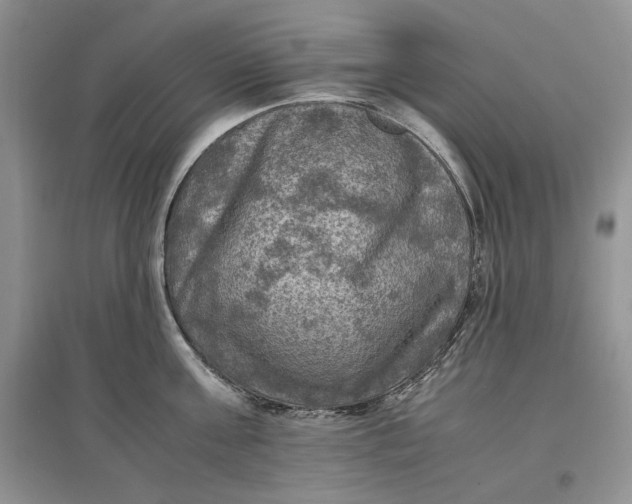 X0000097600811200803141915