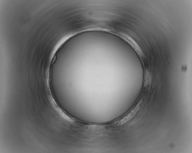 X0000097600812200803141915