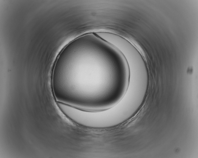 X0000097600813200803141915