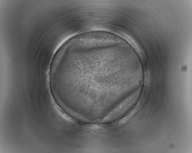 X0000097600814200803141915