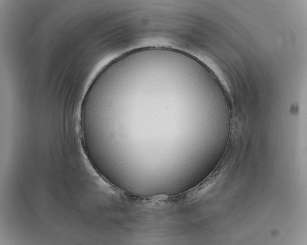 X0000097600815200803141915