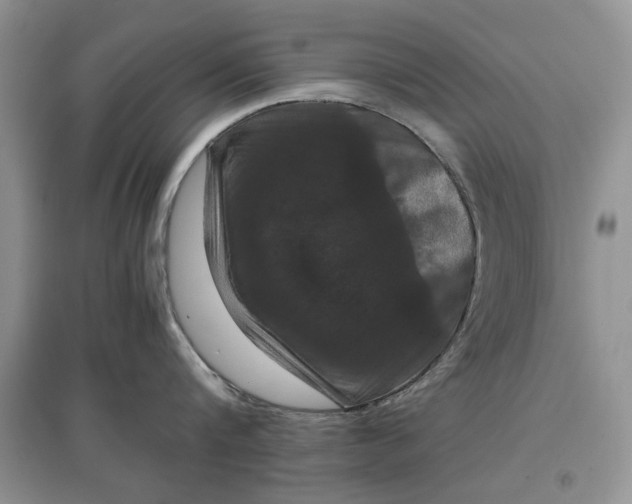 X0000097600816200803141915