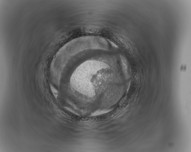 X0000097600817200803141914