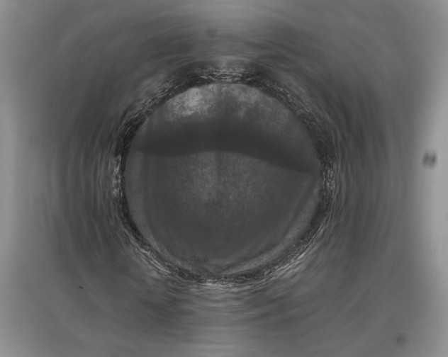 X0000097600818200803141914