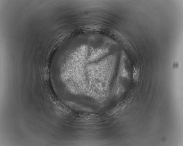 X0000097600819200803141914