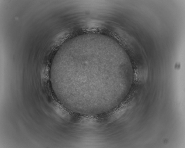 X0000097600820200803141915