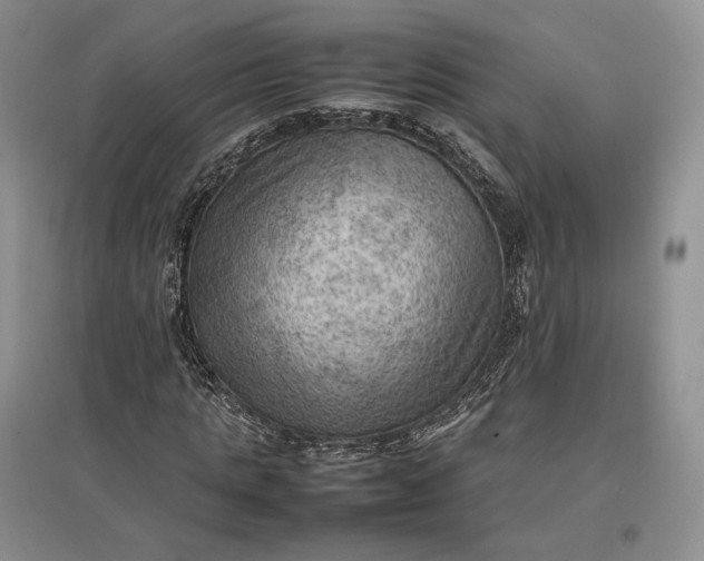 X0000097600821200803141915