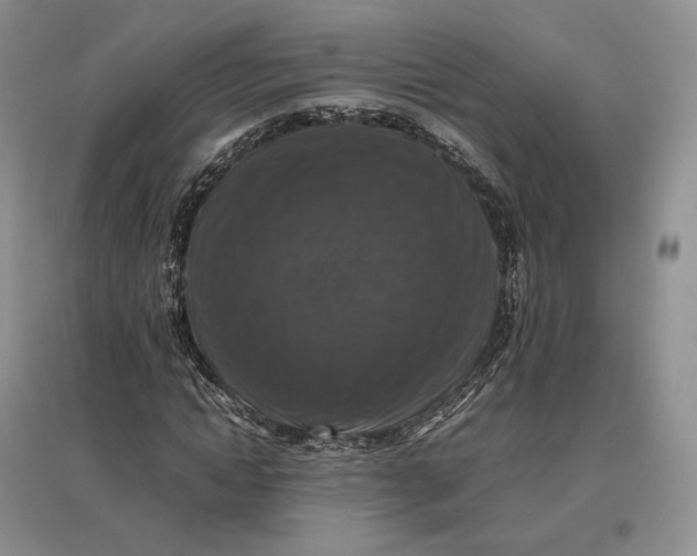 X0000097600822200803141915