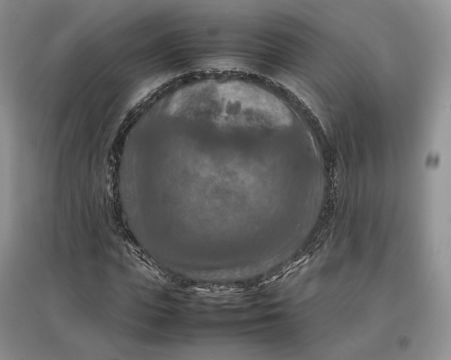 X0000097600823200803141915
