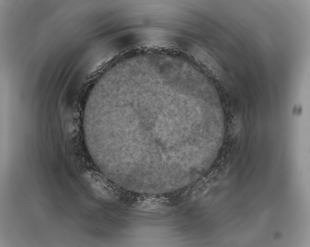 X0000097600824200803141915