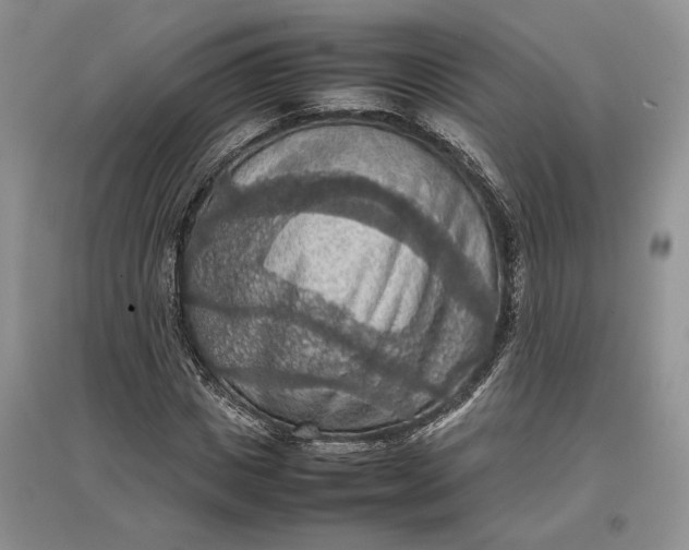 X0000097600825200803141915