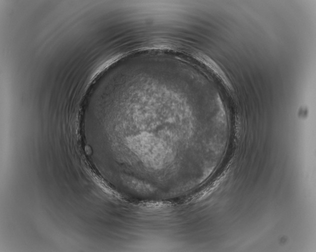 X0000097600826200803141915