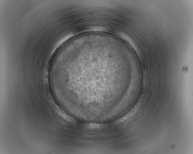 X0000097600827200803141915