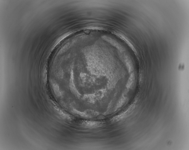 X0000097600829200803141915