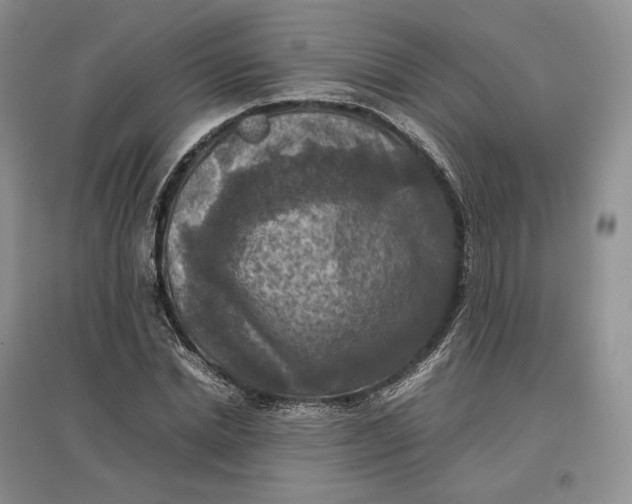 X0000097600830200803141915
