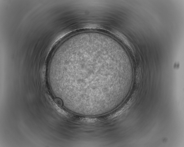 X0000097600831200803141915