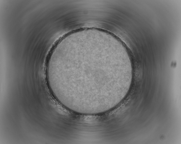 X0000097600832200803141915