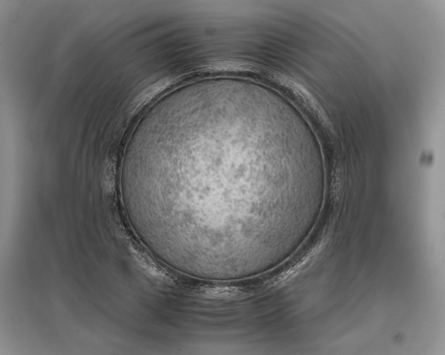 X0000097600833200803141915