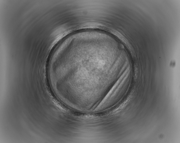 X0000097600834200803141915