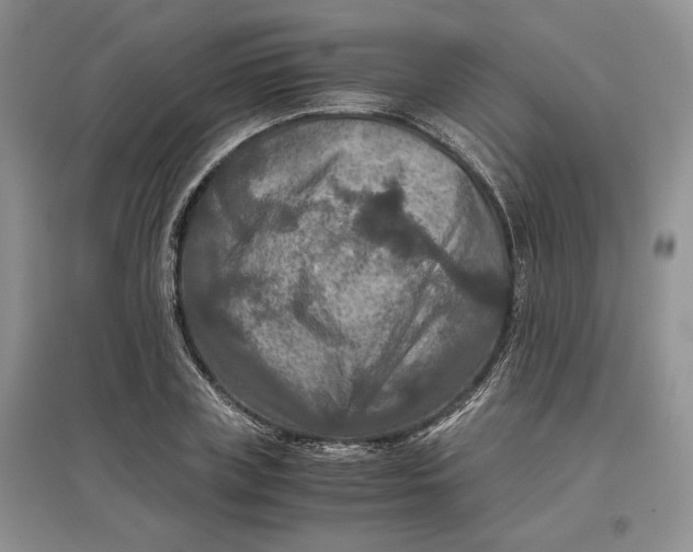 X0000097600835200803141915