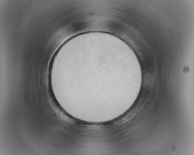 X0000097600836200803141915