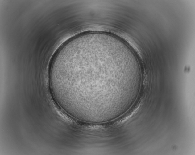 X0000097600837200803141915