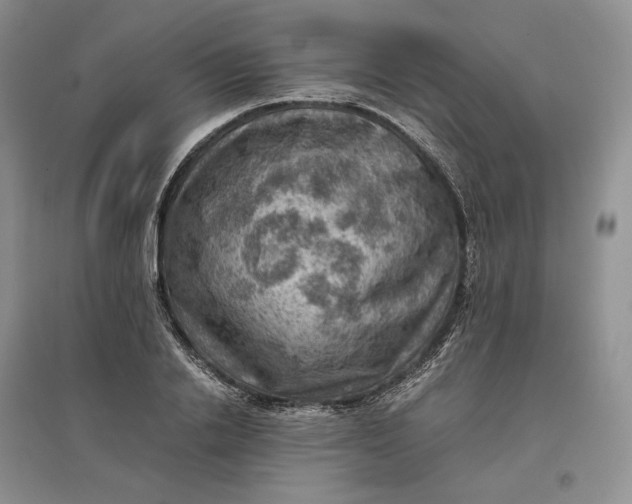 X0000097600838200803141915