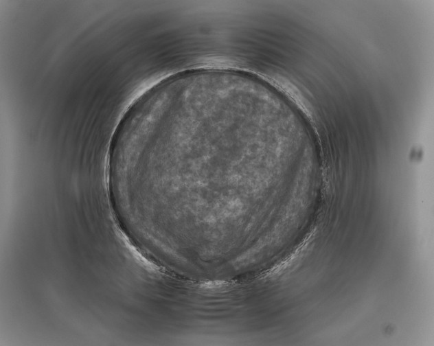 X0000097600839200803141915