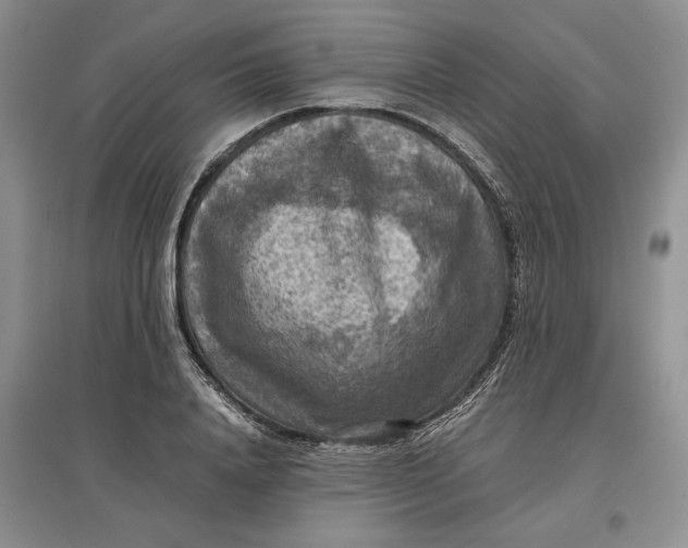 X0000097600840200803141915