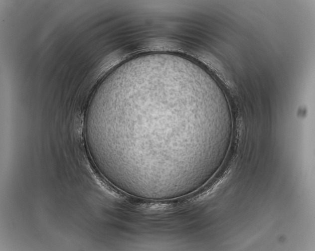 X0000097600841200803141915