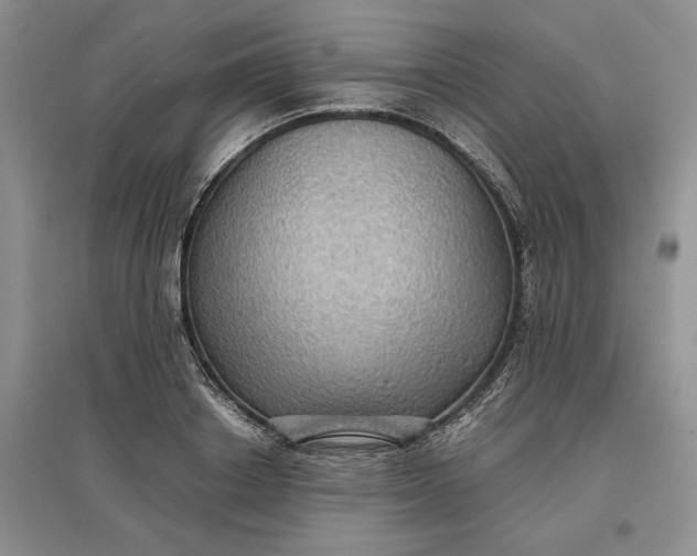 X0000097600842200803141915