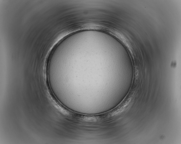 X0000097600843200803141915