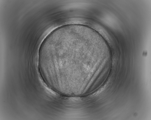X0000097600844200803141915